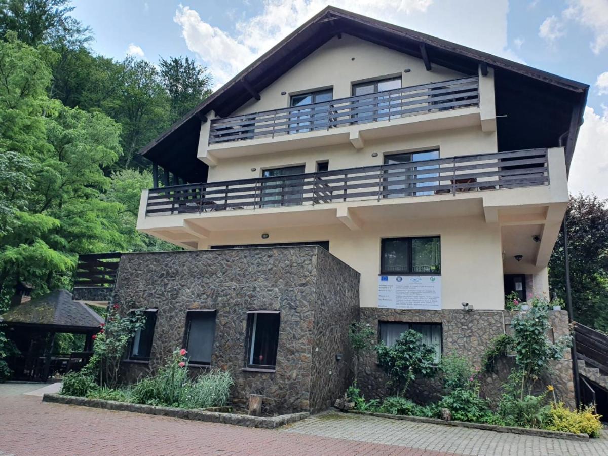 Pensiunea Iasmina Si Pescarul Călimăneşti Exterior foto