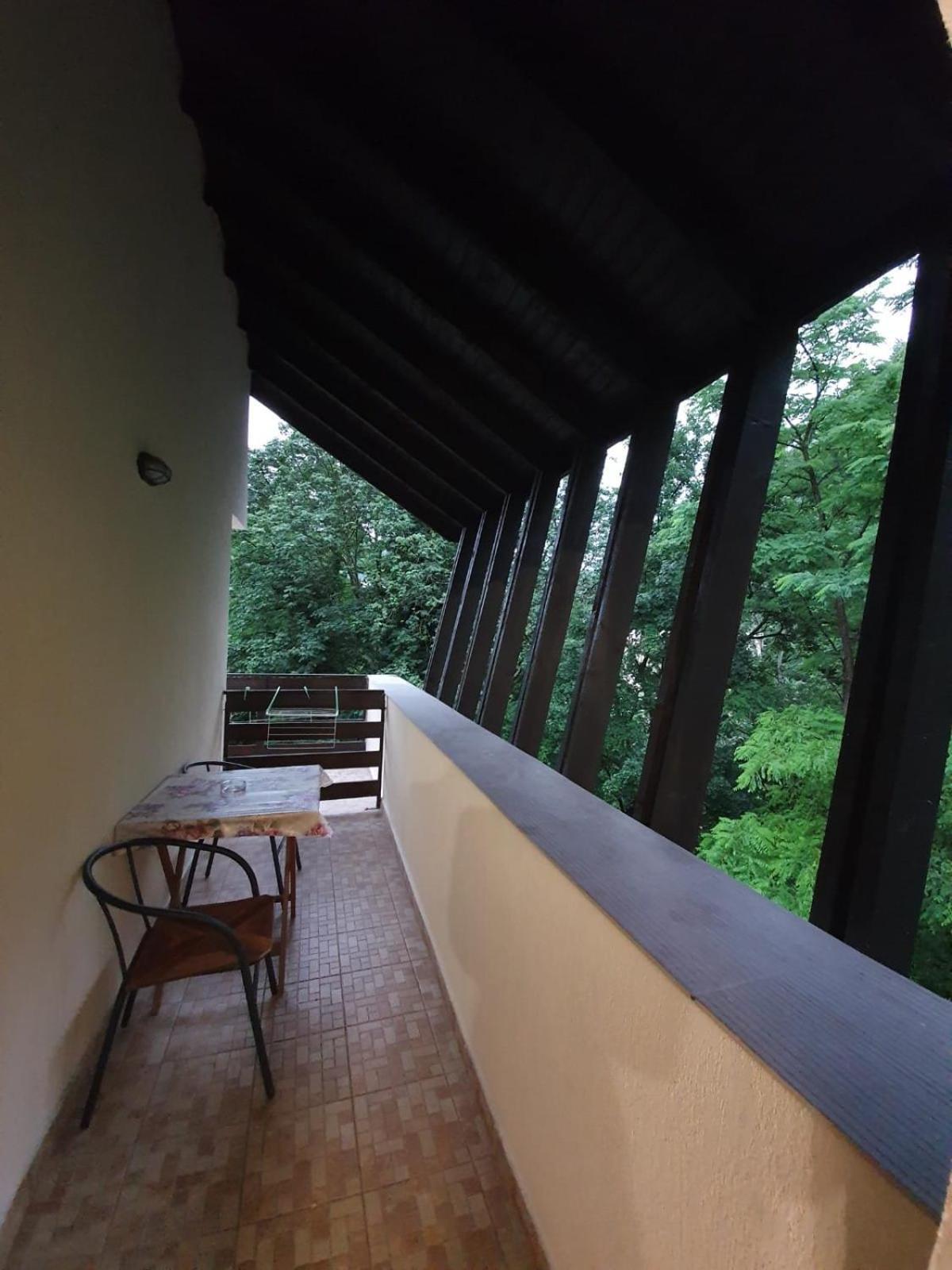 Pensiunea Iasmina Si Pescarul Călimăneşti Exterior foto