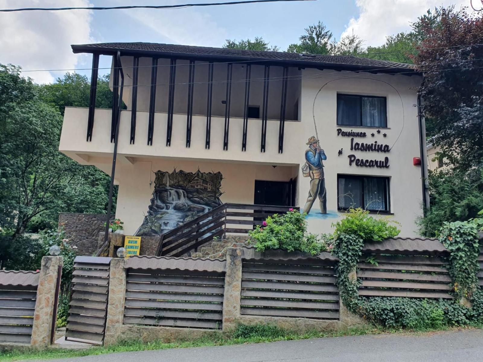 Pensiunea Iasmina Si Pescarul Călimăneşti Exterior foto