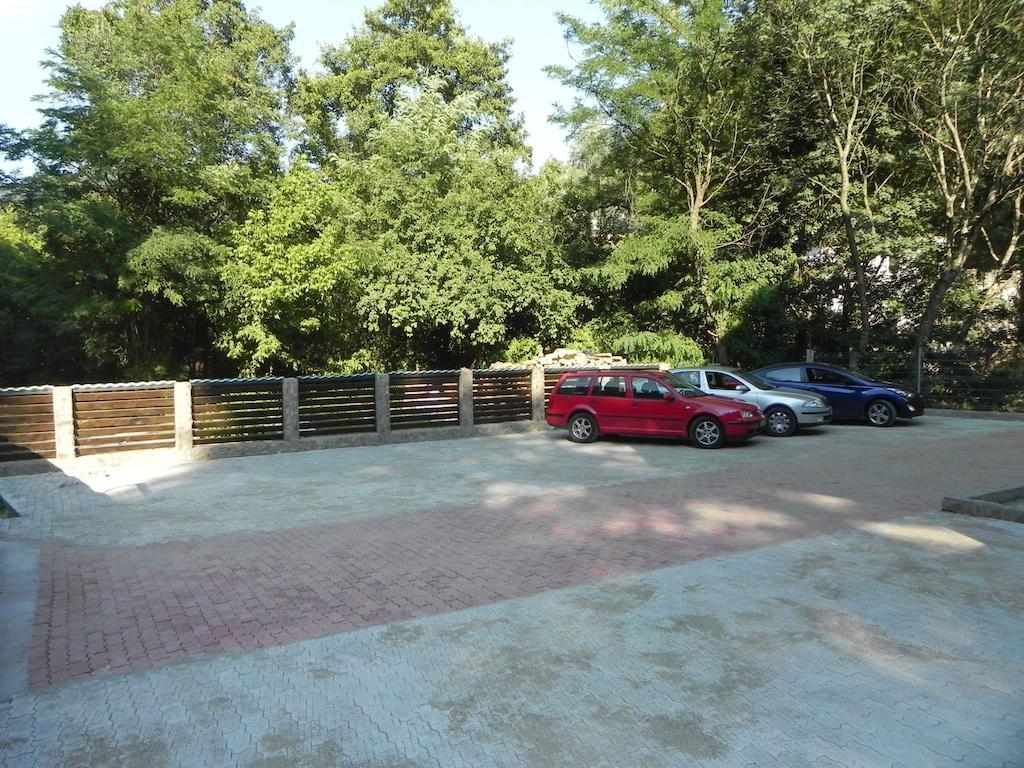 Pensiunea Iasmina Si Pescarul Călimăneşti Exterior foto